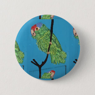 Papagei-Knopf Button
