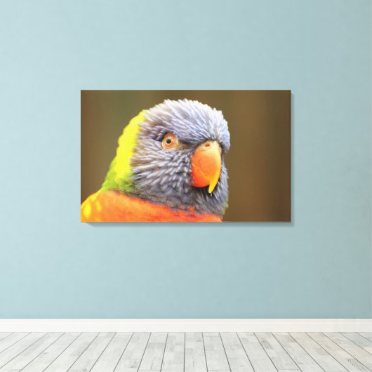Papagei - Lori Leinwanddruck (Insitu (Holzboden))