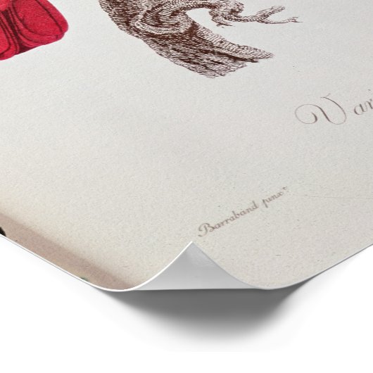 Papagei: Lory oder Collared Poster (Ecke)