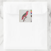 Papagei: Lory oder Collared Quadratischer Aufkleber (Tasche)
