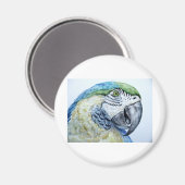 Papagei Magnet (Vorderseite/Rückseite)