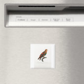 Papagei Magnet (In Situ (Geschirrspüler))