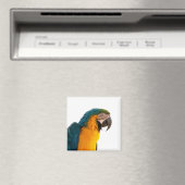Papagei Magnet (In Situ (Geschirrspüler))
