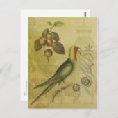 Papagei mit Pflaumen Postkarte (Vorne/Hinten)