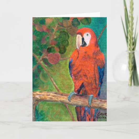 Papagei mit Seagrapes Karte (Vorderseite)