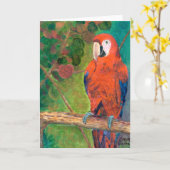 Papagei mit Seagrapes Karte (Gelbe Blume)