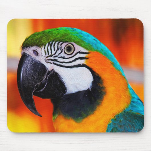 Papagei Mousepad (Vorne)