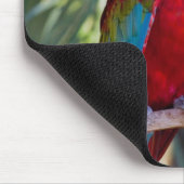 Papagei Mousepad (Ecke)