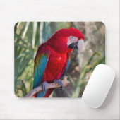 Papagei Mousepad (Mit Mouse)