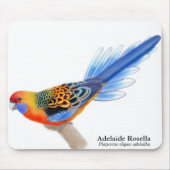 Papagei Mousepad Adelaides Rosella (Vorne)