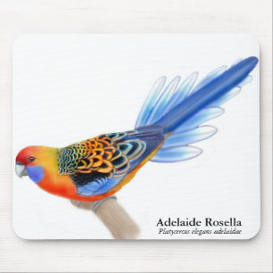 Papagei Mousepad Adelaides Rosella