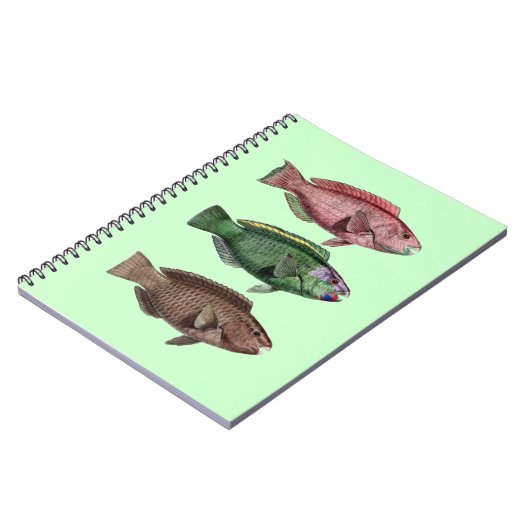 Papagei-Notebook Notizblock (Linke Seite)