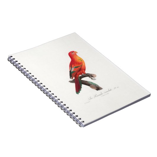 Papagei Notizblock (Rechte Seite)