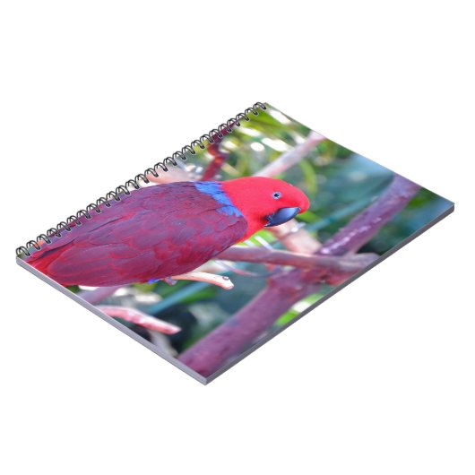 Papagei Notizblock (Linke Seite)