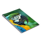 Papagei Notizblock (Rechte Seite)