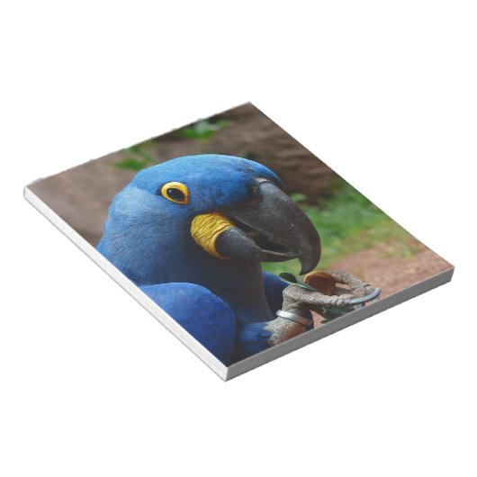 Papagei Notizblock (angewinkelt)