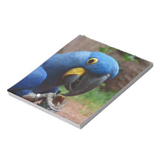 Papagei Notizblock (Rotiert)