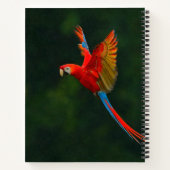 Papagei Notizbuch (Rückseite)