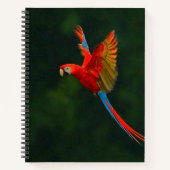 Papagei Notizbuch (Vorderseite)