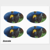 Papagei Ovaler Aufkleber (Blatt)