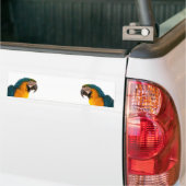 Papagei-Post-it-Hinweise Autoaufkleber (Auf Lkw)