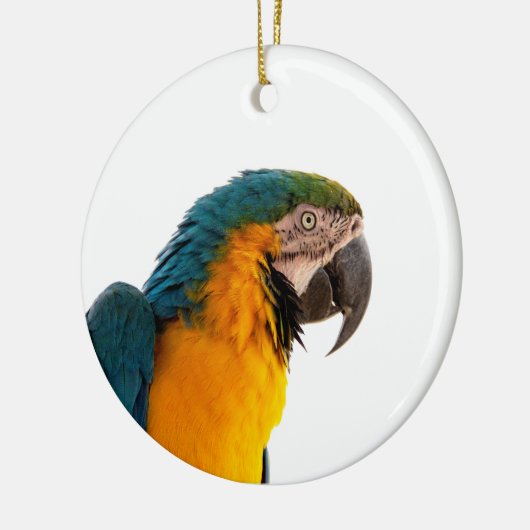 Papagei-Post-it-Hinweise Keramik Ornament (Links)