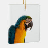 Papagei-Post-it-Hinweise Keramikornament (Rechts)