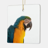 Papagei-Post-it-Hinweise Keramikornament (Links)