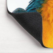 Papagei-Post-it-Hinweise Mousepad (Ecke)