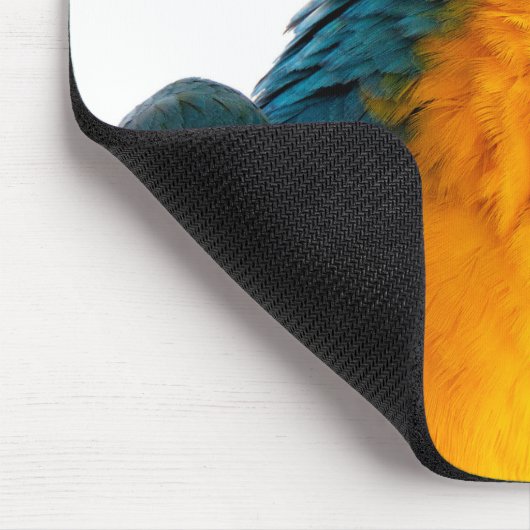 Papagei-Post-it-Hinweise Mousepad (Ecke)