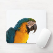 Papagei-Post-it-Hinweise Mousepad (Mit Mouse)