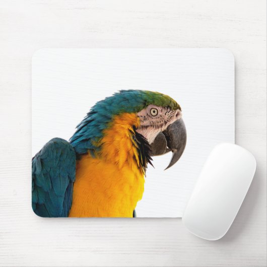 Papagei-Post-it-Hinweise Mousepad (Mit Mouse)