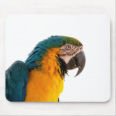 Papagei-Post-it-Hinweise Mousepad (Vorne)