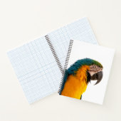 Papagei-Post-it-Hinweise Notizblock (Innenseite)