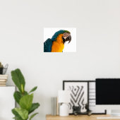 Papagei-Post-it-Hinweise Poster (Heimbüro)