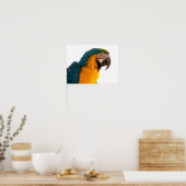Papagei-Post-it-Hinweise Poster (Küche)