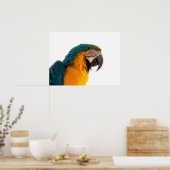 Papagei-Post-it-Hinweise Poster (Küche)