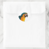 Papagei-Post-it-Hinweise Runder Aufkleber (Tasche)