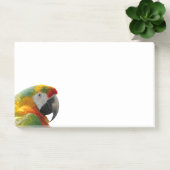 PAPAGEI POST-IT KLEBEZETTEL (Büro)