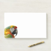 PAPAGEI POST-IT KLEBEZETTEL (Auf Schreibtisch)