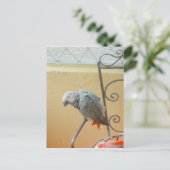 Papagei - Postkarte (Stehend Vorderseite)
