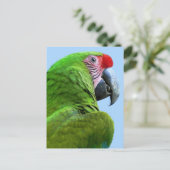 Papagei - Postkarte (Stehend Vorderseite)