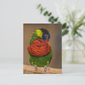 Papagei Postkarte (Stehend Vorderseite)