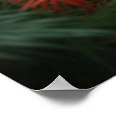 Papagei Print, Werteplakat (Matte) Poster (Ecke)