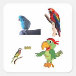 Papagei Quadratischer Aufkleber
