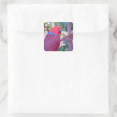 Papagei Quadratischer Aufkleber (Tasche)