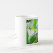 Papagei, Rio Chagres, Panama Kaffeetasse (Mittel)