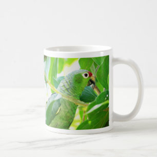 Papagei, Rio Chagres, Panama Kaffeetasse