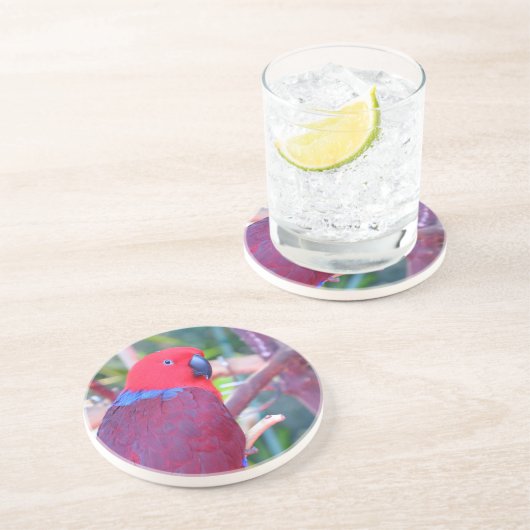 Papagei Sandstein Untersetzer (Seite)