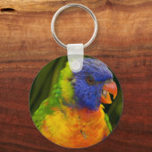Papagei Schlüsselanhänger (Vorderseite)